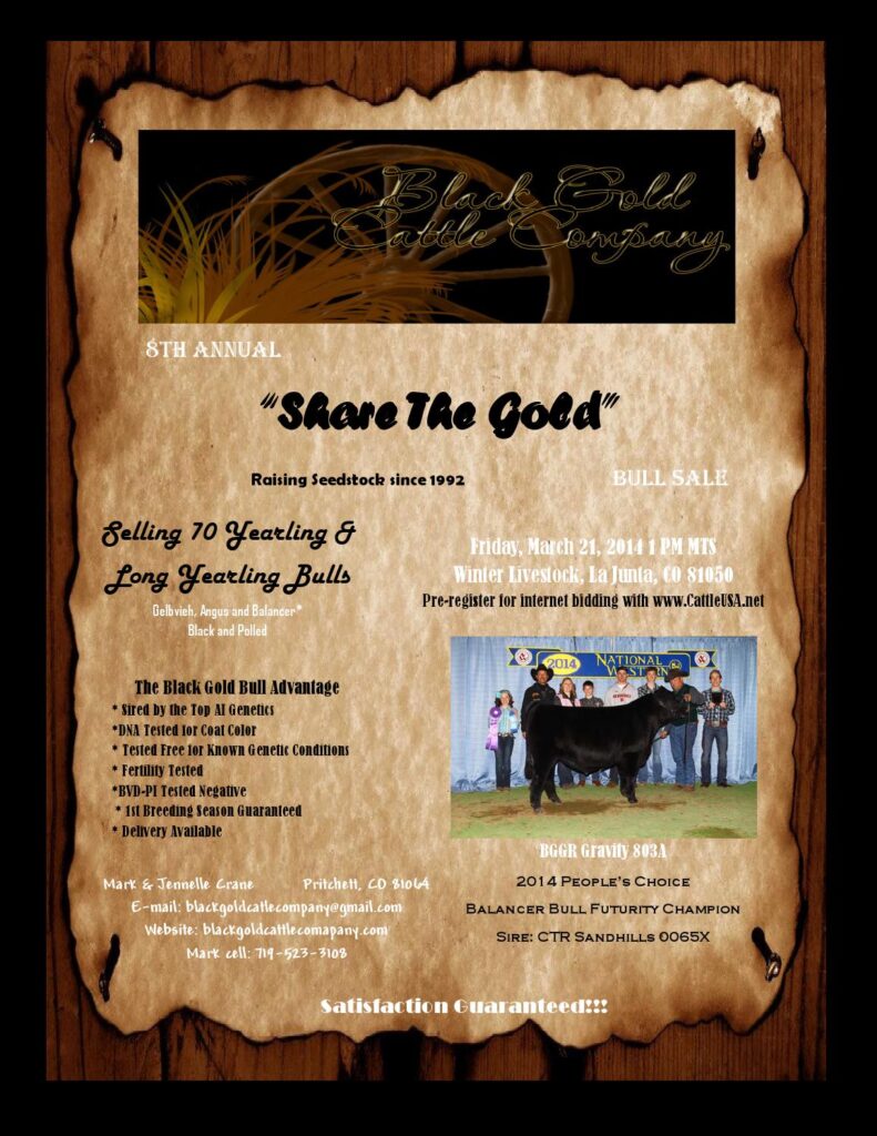 Black Gold Cattle Company - 8th Annual 'Share The Gold' Bull Sale