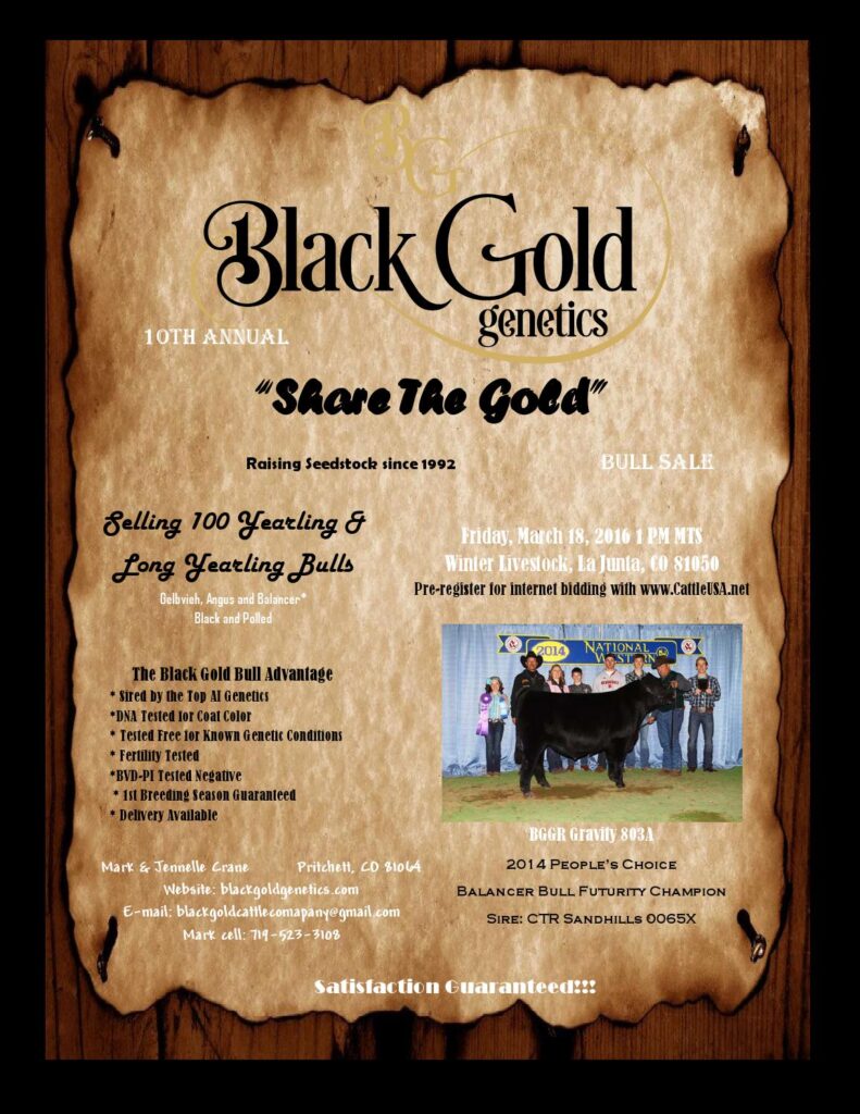 Black Gold Genetics - 10th Annual "Share the Gold" Bull Sale