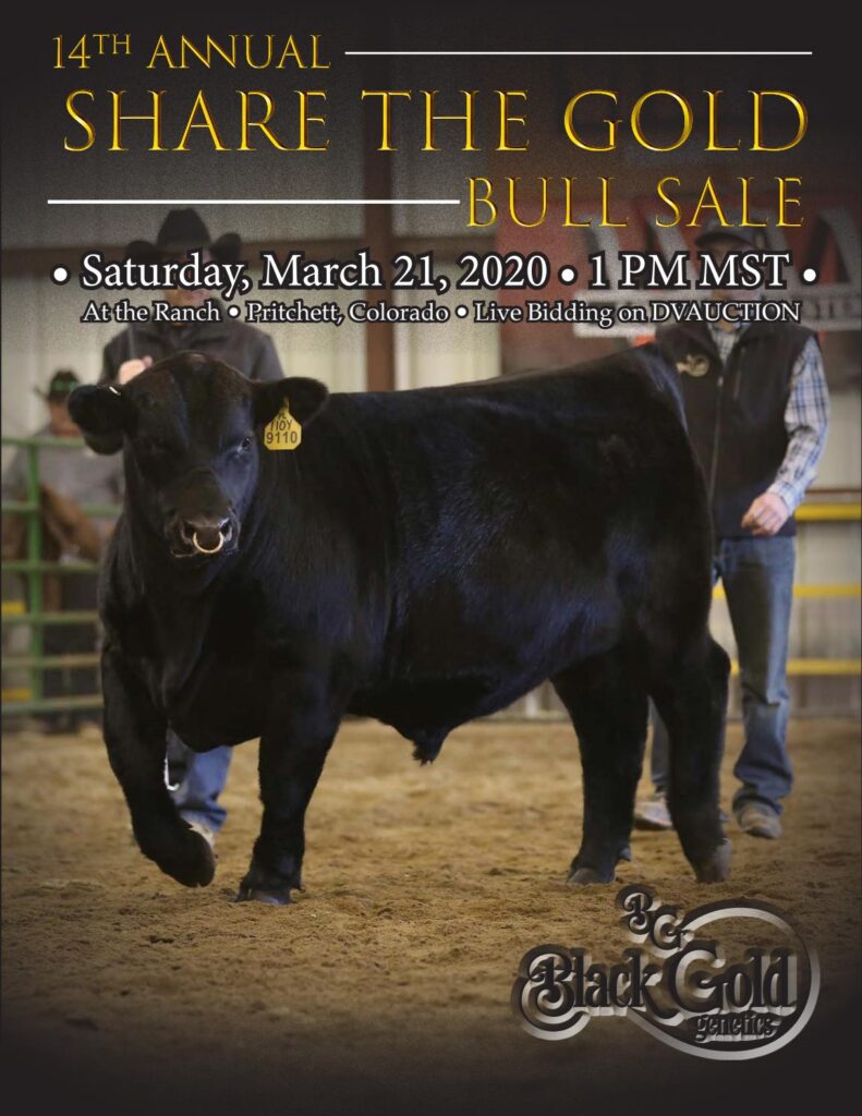 Black Gold Genetics - 2020 Sale