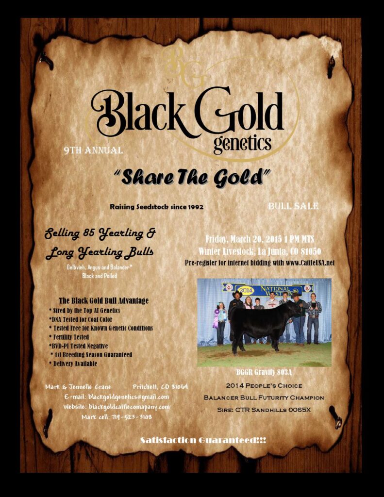 Black Gold Genetics - 9th Annual 'Share the Gold' Bull Sale