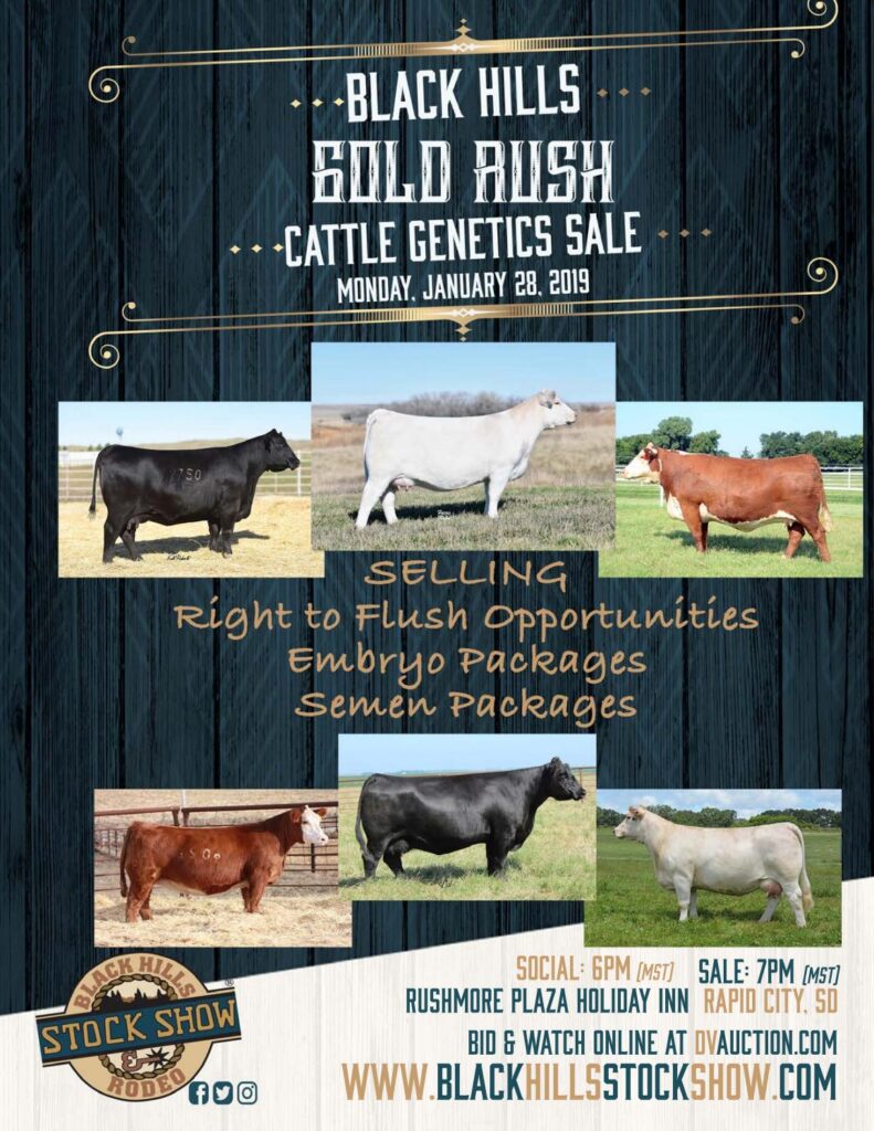 Black Hills Gold Rush - 2019 Sale