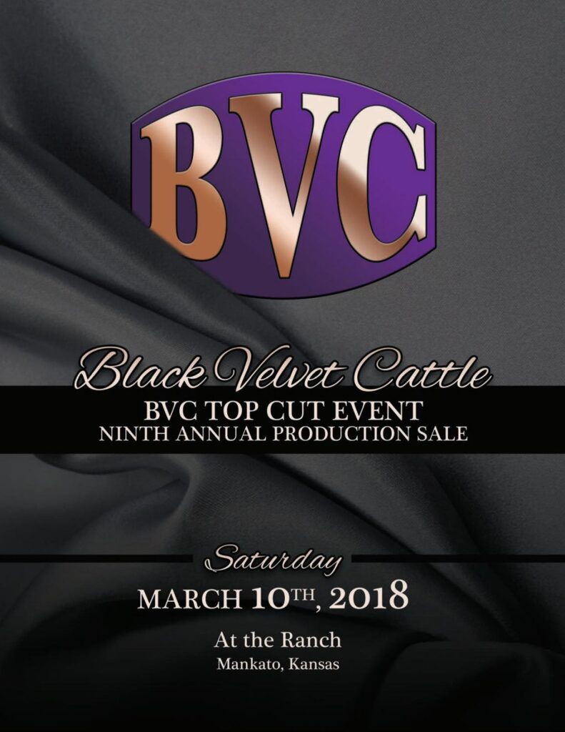 Black Velvet Cattle - 2018 Production Sale