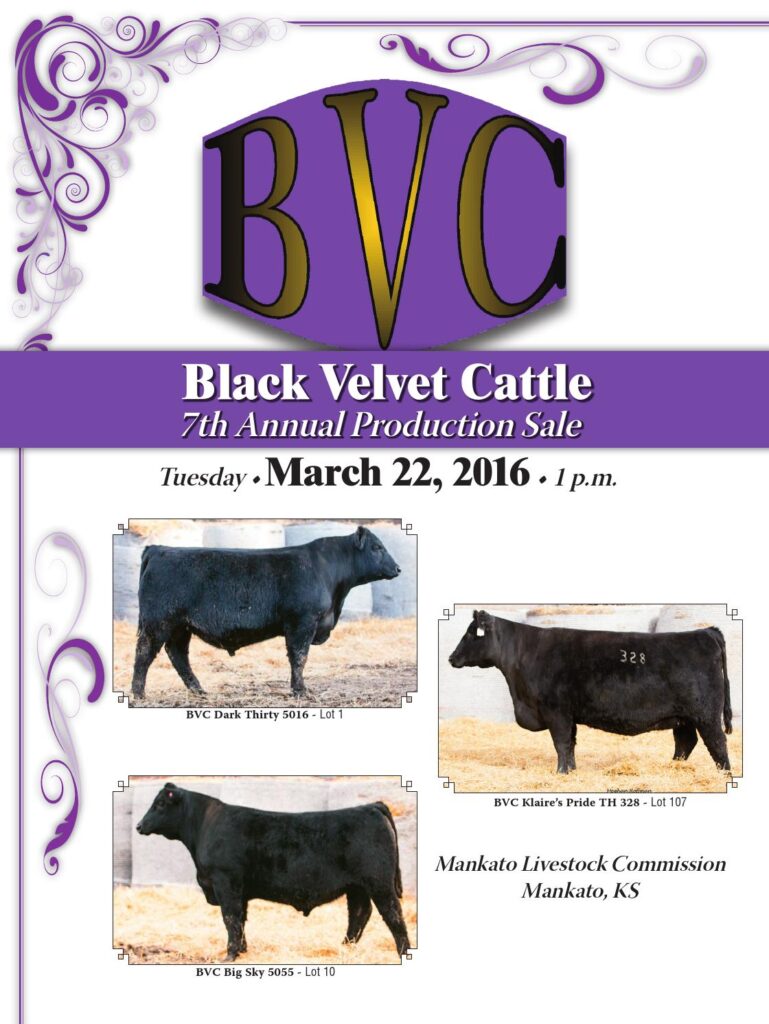 Black Velvet Cattle - 7th Annual Production Sale