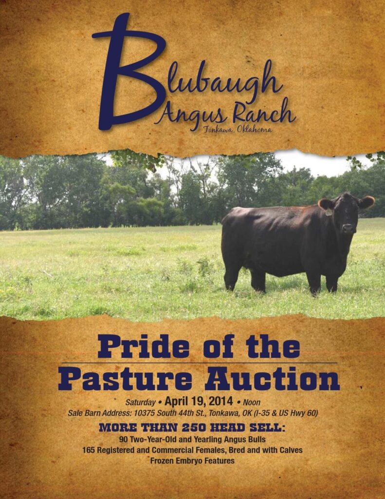 Blubaugh Angus Ranch - 2014 Bull and Female Auction
