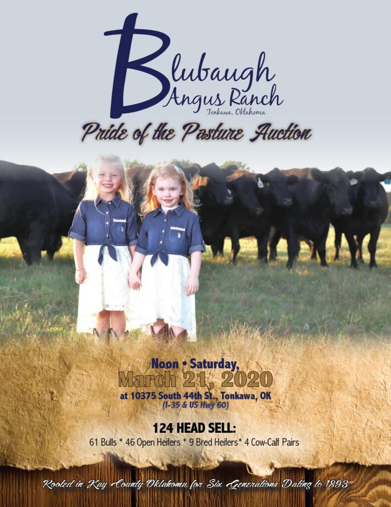 Blubaugh Angus Ranch - 2020 Bull Sale