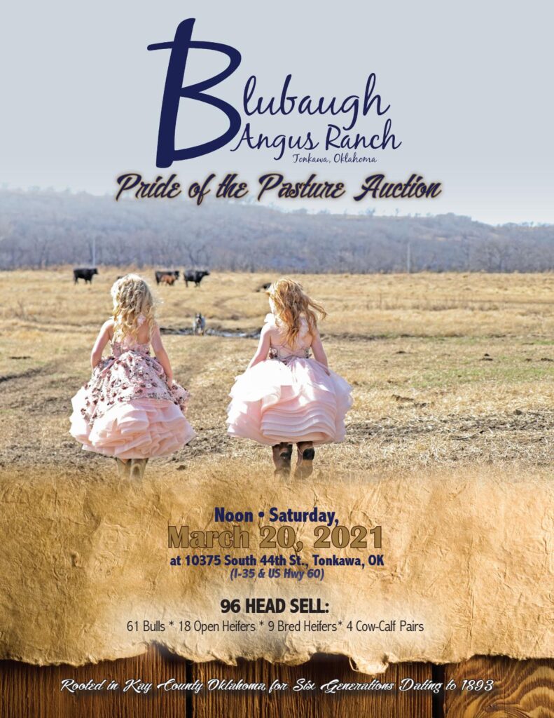 Blubaugh Angus Ranch - 2021 Spring Bull Sale