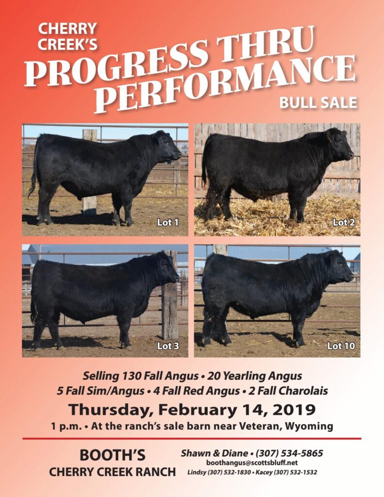 Booth's Cherry Creek Ranch - 2019 Bull Sale