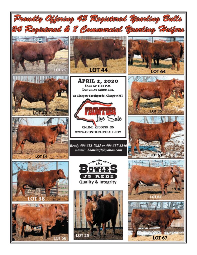 Bowles J5 Reds - 2020 Sale