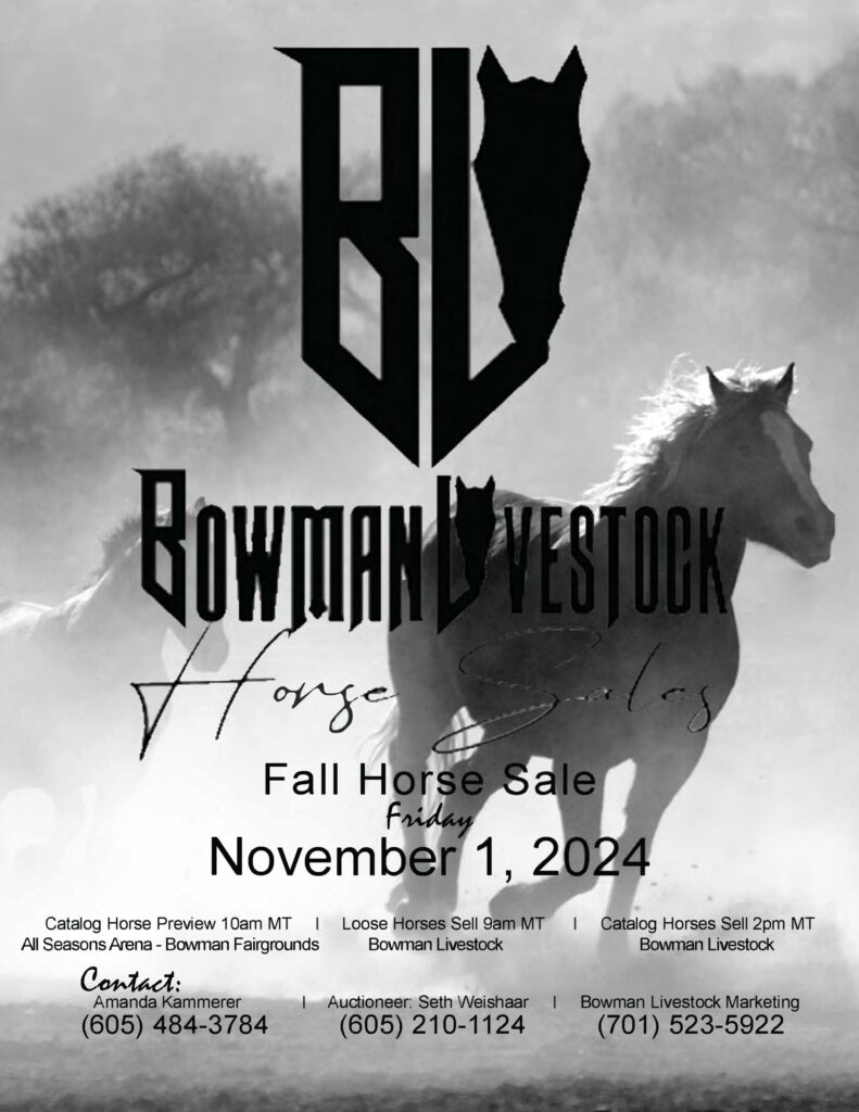 Bowman Livestock Fall Horse Sale