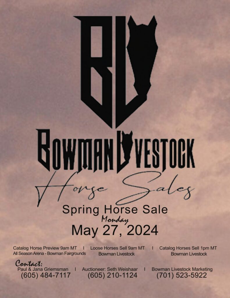 Bowman Livestock Spring Horse Sale