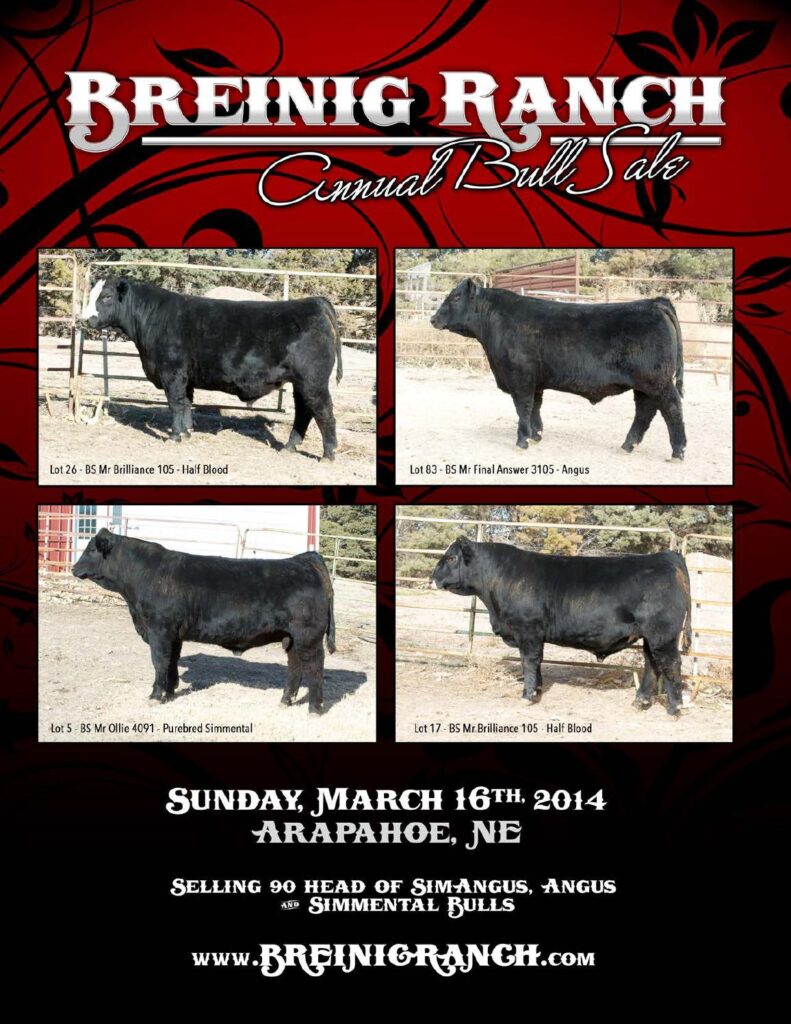 Breinig Ranch - 2014 Bull Sale