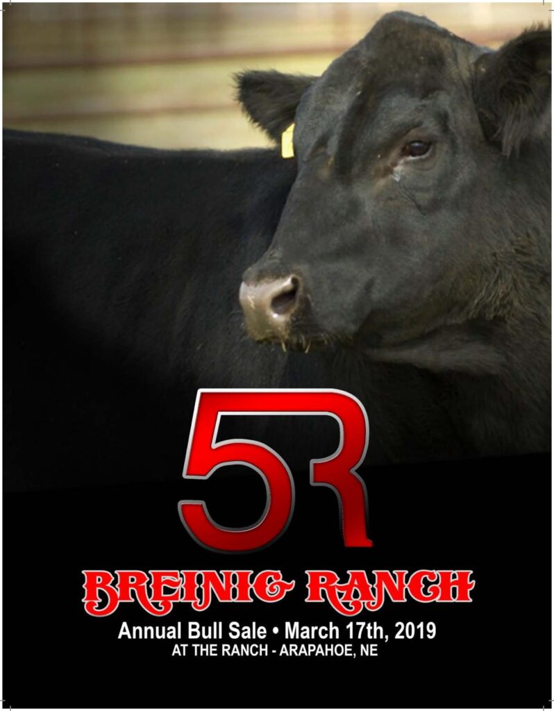 Breinig Ranch - 2019 Bull Sale