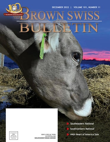 Brown Swiss - December 2022 Edition