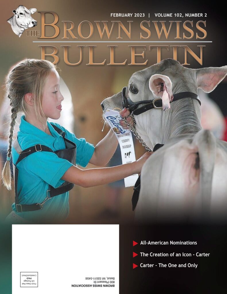 Brown Swiss - February 2023 Edition