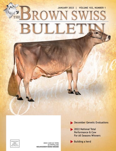 Brown Swiss - January 2023 Edition