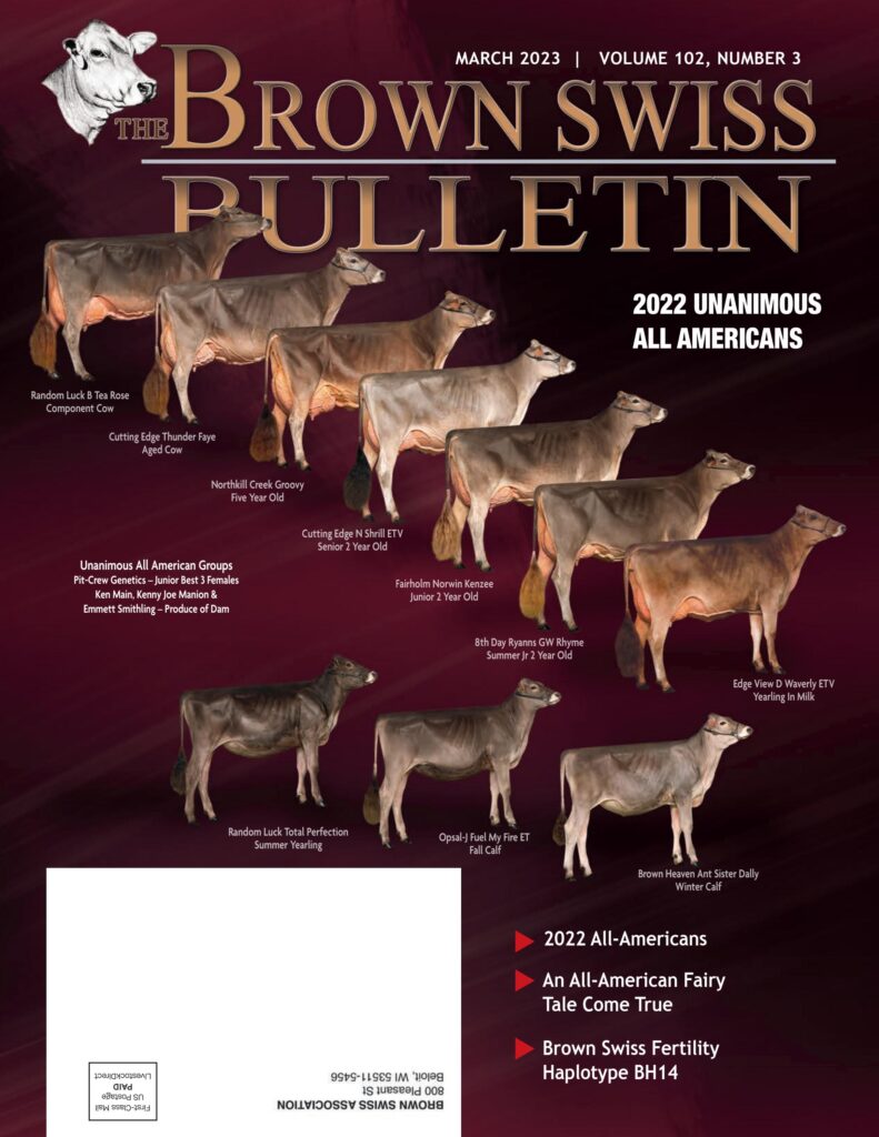 Brown Swiss - March 2023 Edition