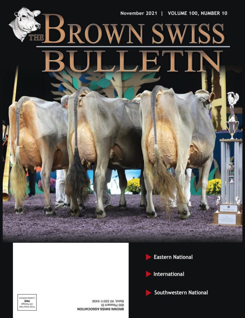 Brown Swiss - November 2021 Edition