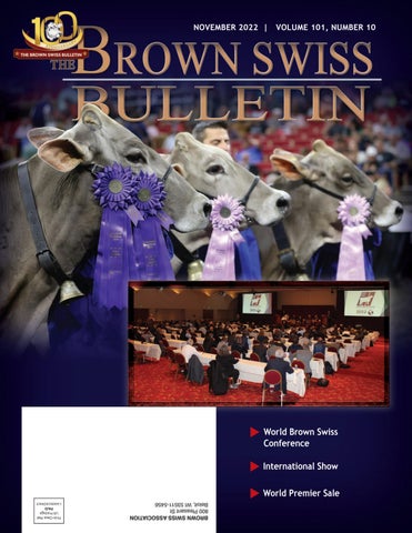 Brown Swiss - November 2022 Edition