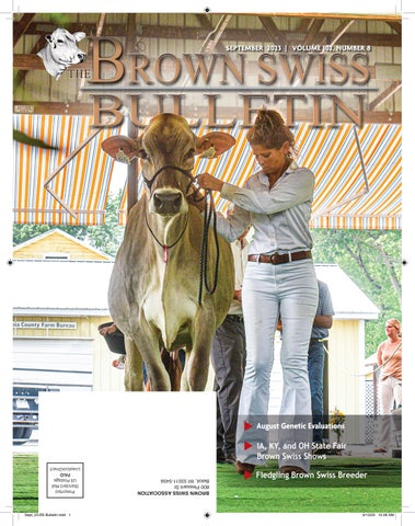 Brown Swiss - September 2023 Edition