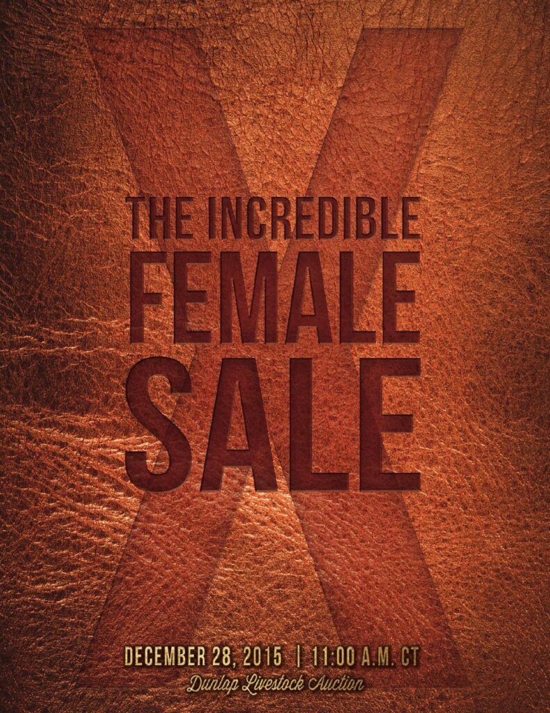 Bruhn Cattle - 2016 Incredible Female Sale