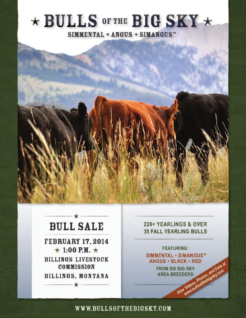 Bulls of the Big Sky - 2014 Simmental and SimAngus Bull Sale