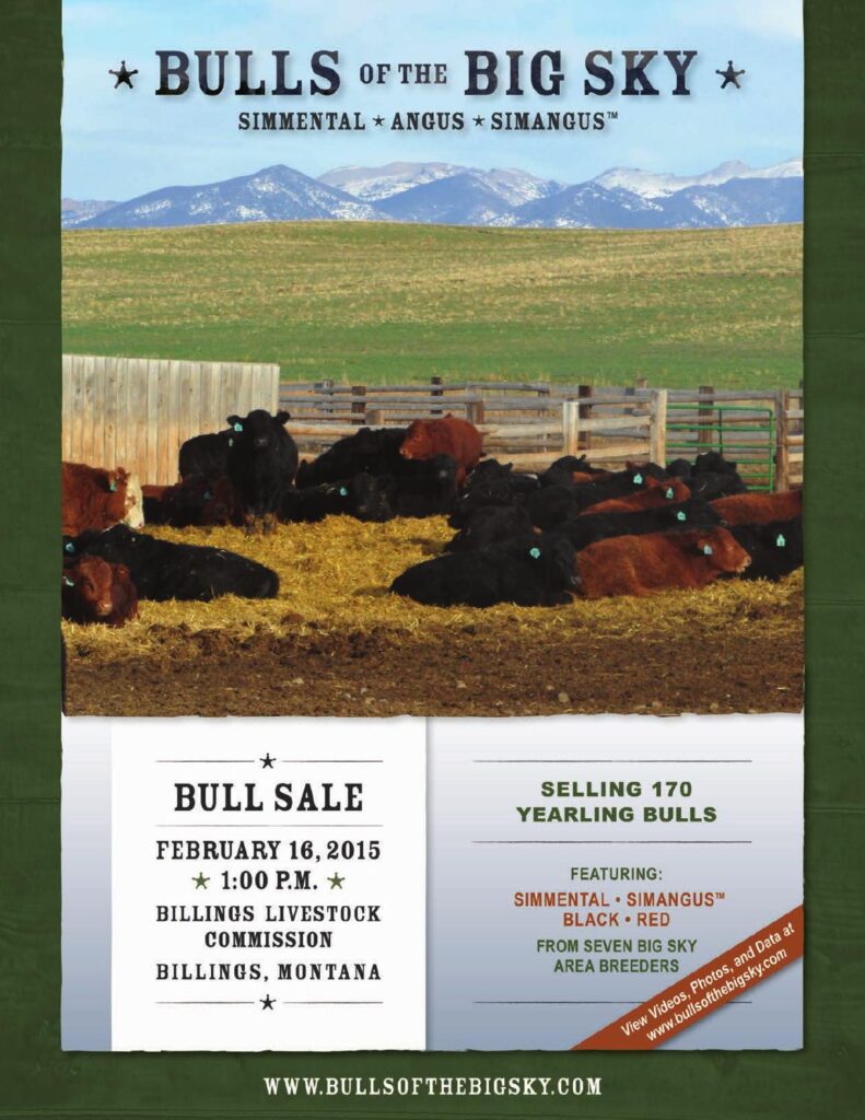 Bulls of the Big Sky - 2015 Bull Sale
