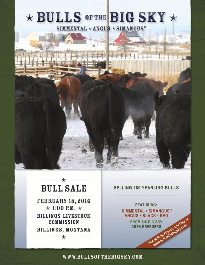 Bulls of the Big Sky - 2016 Bull Sale
