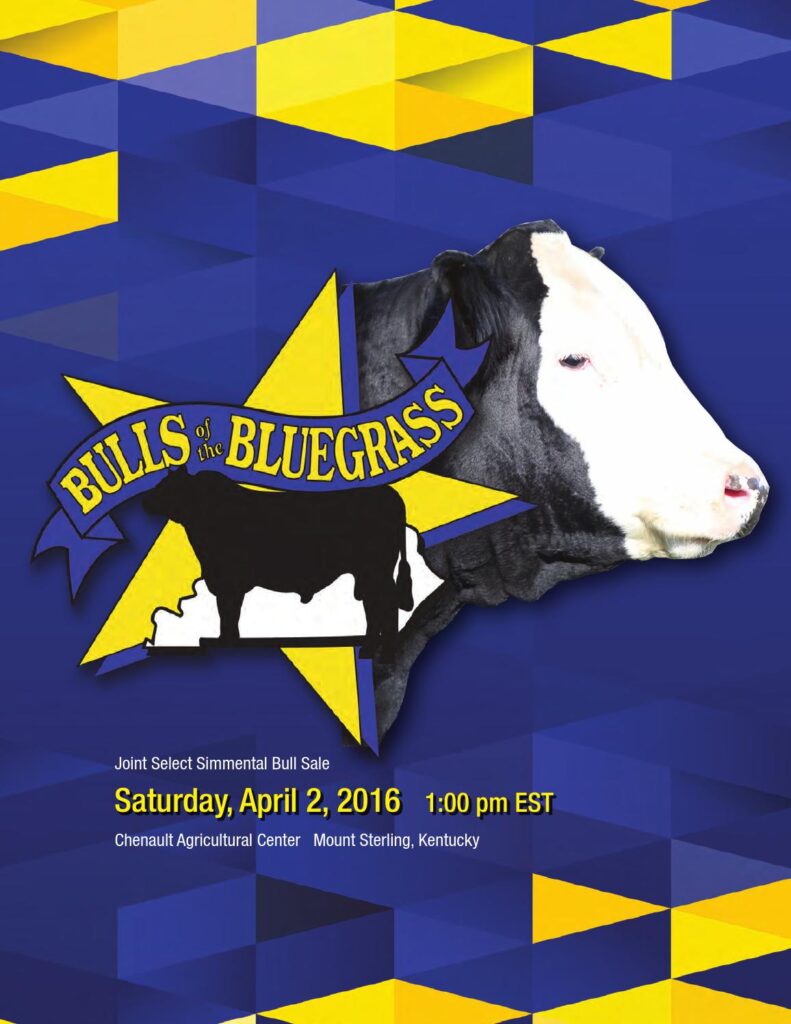 Bulls of the Bluegrass Joint Select Simmental Bull Sale