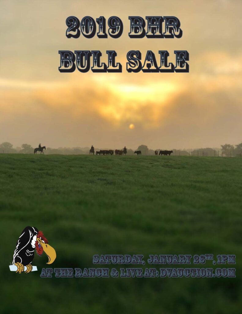 Buzzard Hollow Ranch - 2019 Bull Sale
