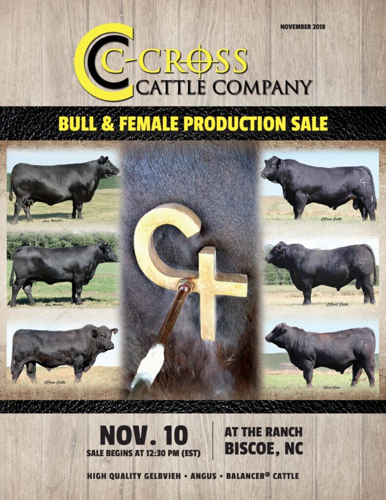 C-Cross Cattle Company - 2018 Bull Sale
