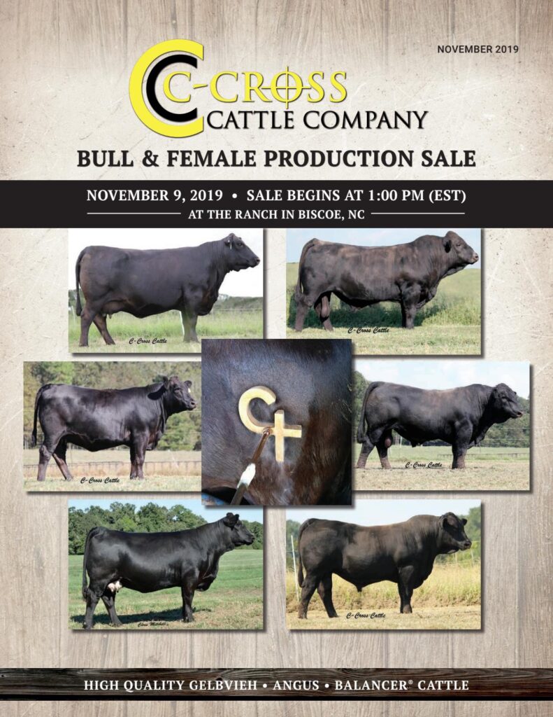 C-Cross Cattle Company - 2019 Sale