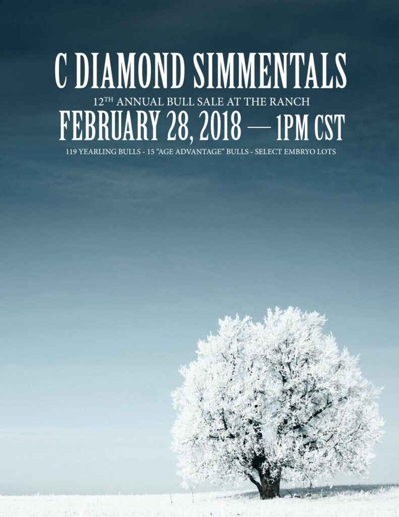 C Diamond Simmentals - 2018 Bull Sale