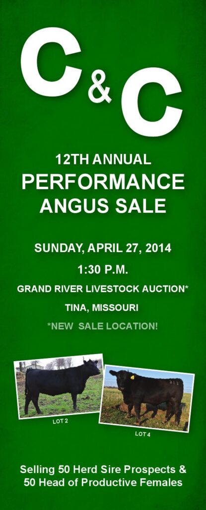 C and C - 12th Annual Performance Angus Sale