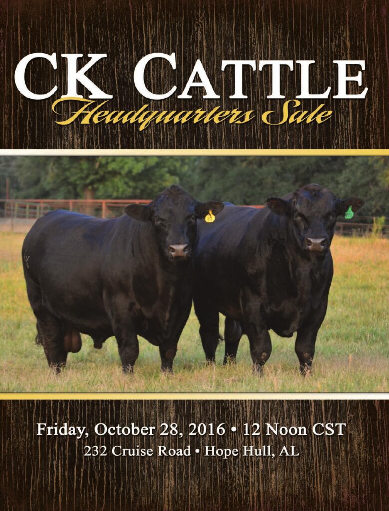 CK Cattle - 2016 Headquarters Sale