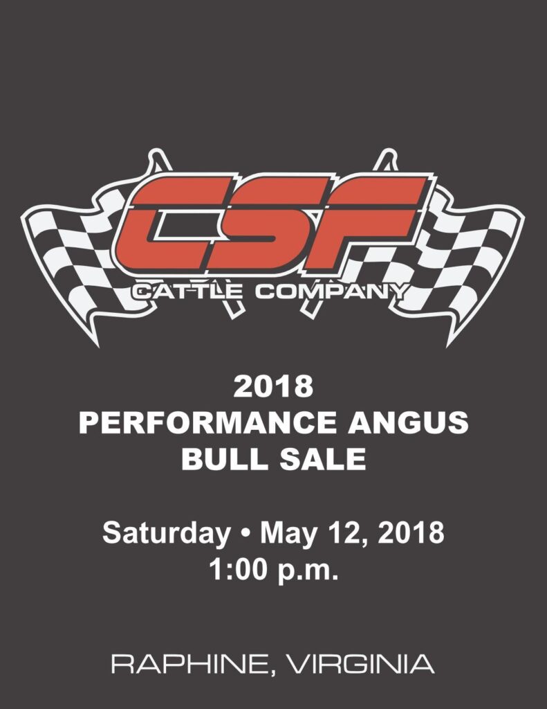 CSF Cattle Comany - 2018 Sale