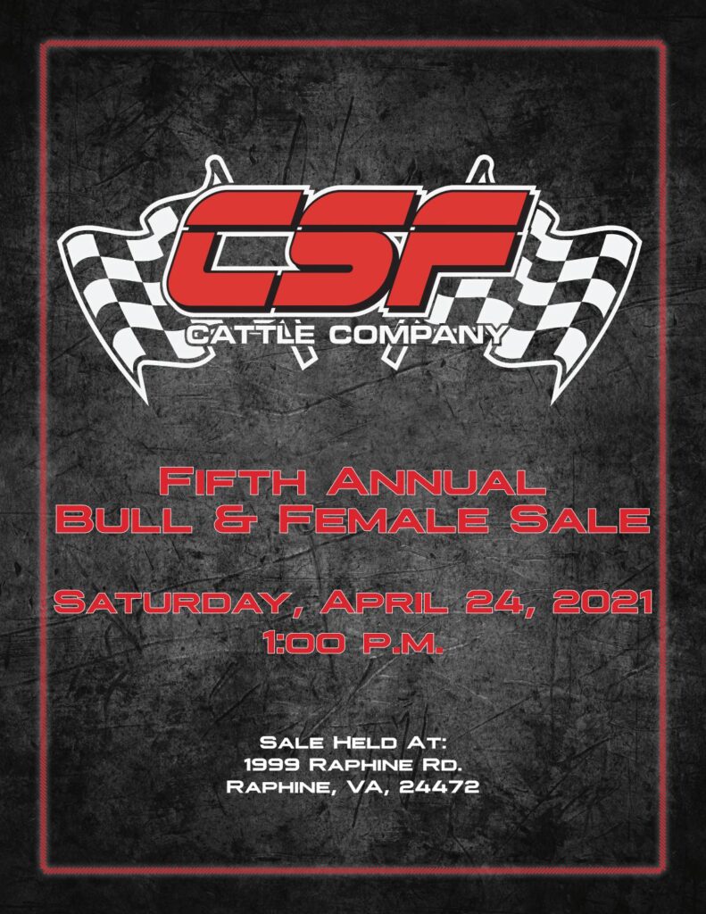 CSF Cattle Company - 2021 Spring Sale