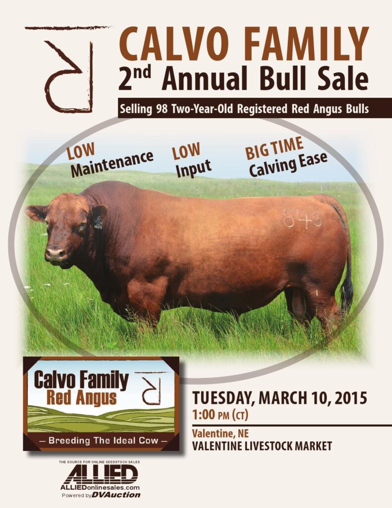 Calvo Family Red Angus - 2nd Annual Bull Sale