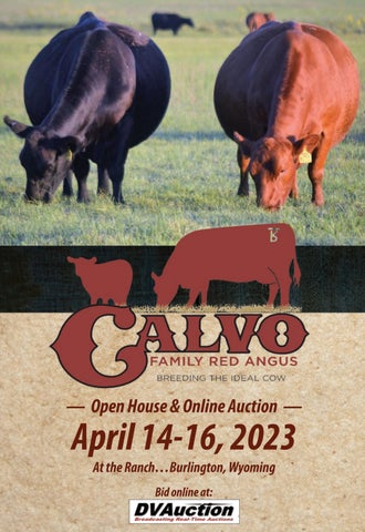 Calvo Red Angus - 2023 Open House & Online Auction