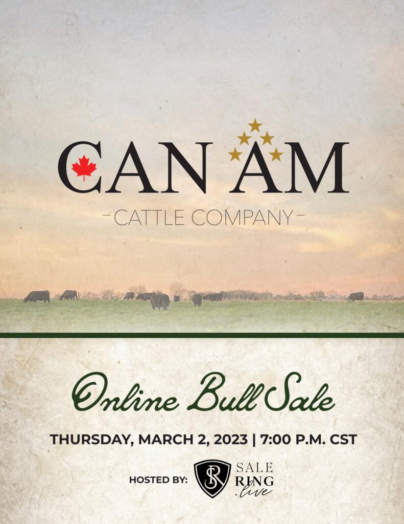 Can Am Cattle Company - 2023 Spring Sale