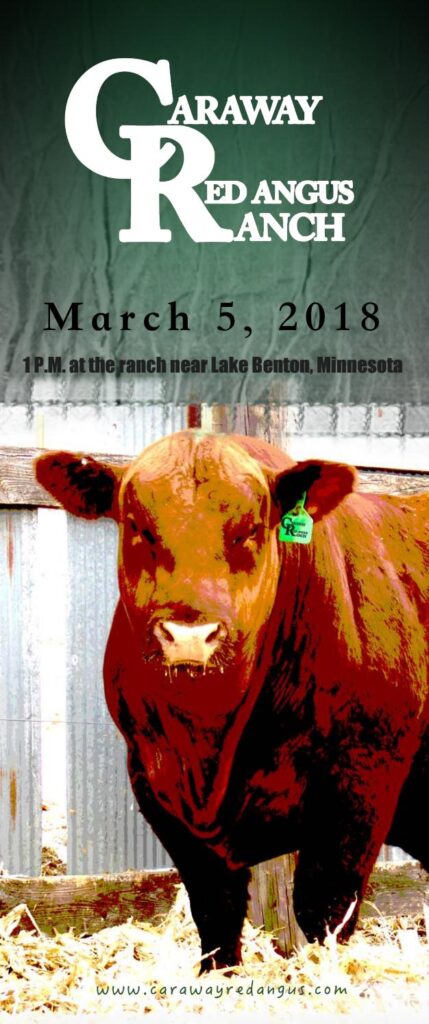 Caraway Red Angus - 2018 Bull Sale