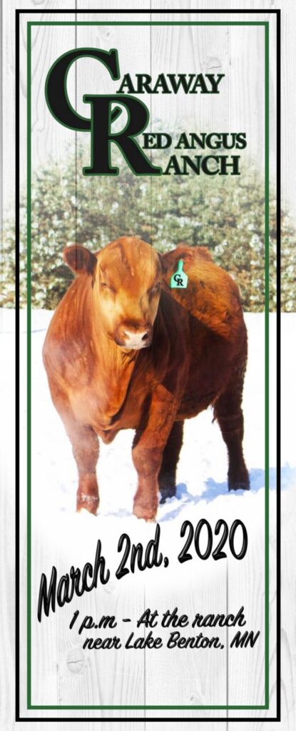 Caraway Red Angus - 2020 Sale