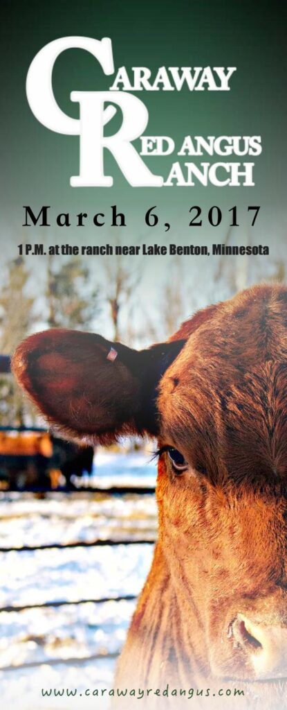 Caraway Red Angus Ranch - 2017 Sale