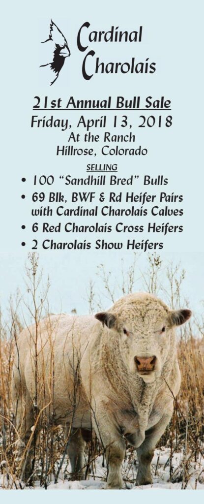 Cardinal Charolais - 2018 Bull Sale