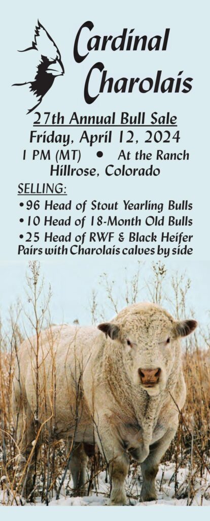 Cardinal Charolais 27th Annual Bull Sale