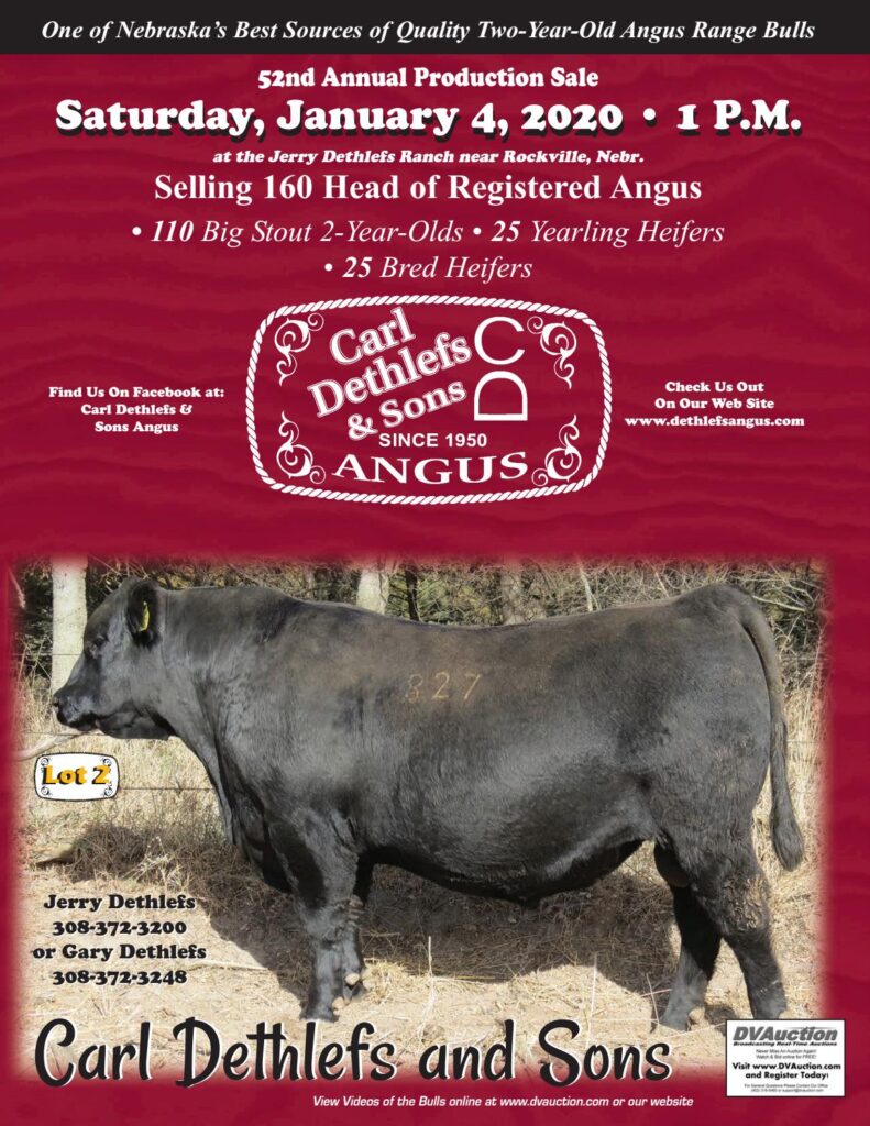 Carl Dethlefs and Sons Angus - 2020 Bull Sale