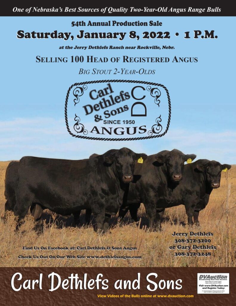 Carl Dethlefs and Sons Angus Ranch - 2022 Spring Bull Sale