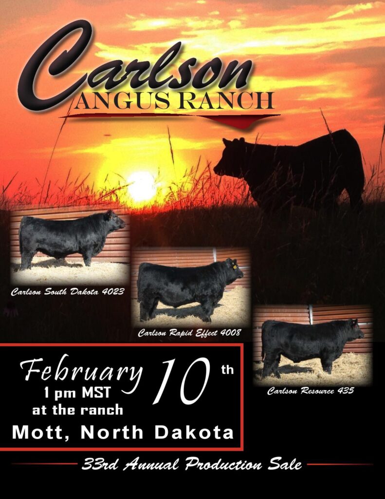 Carlson Angus Ranch - 33rd Annual Production Sale