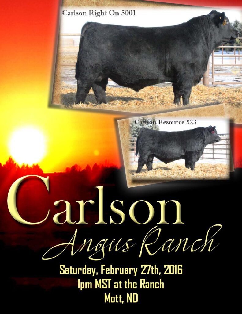 Carlson Angus Ranch - 34th Annual Bull Sale