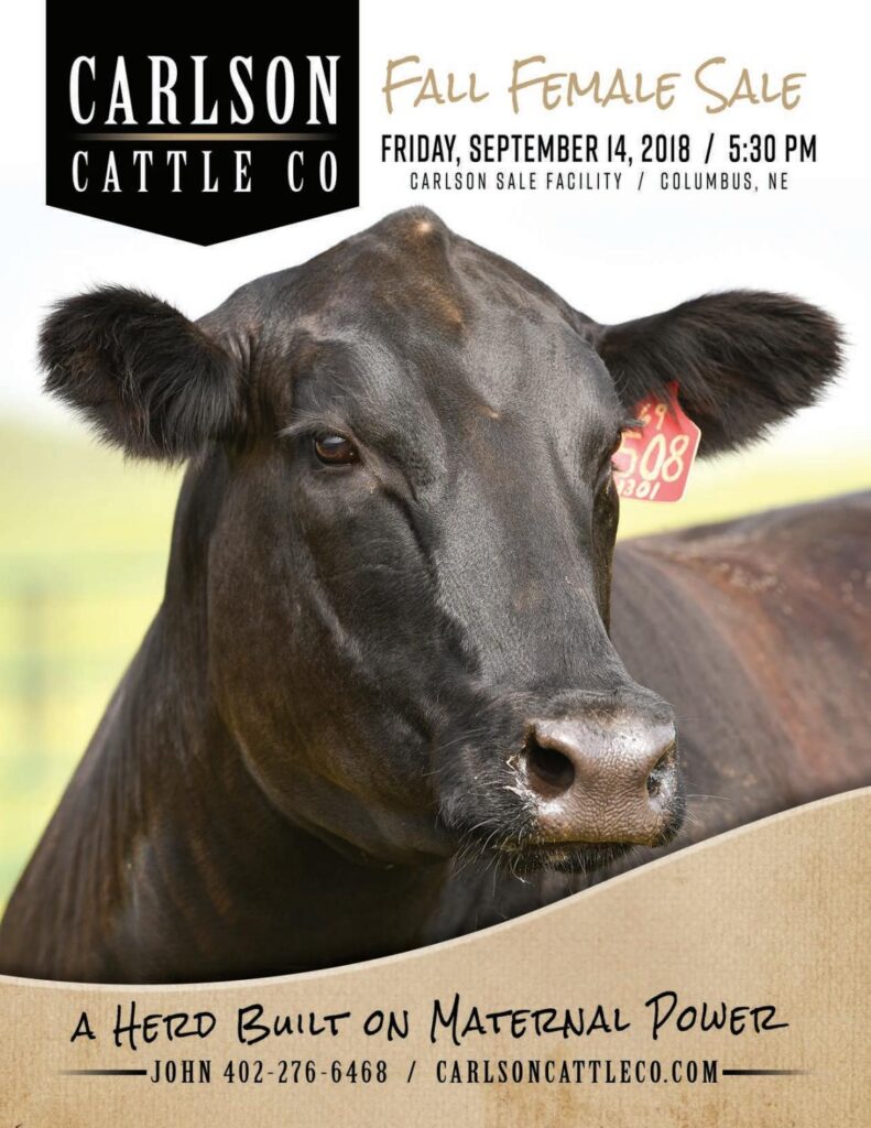 Carlson Cattle Co - 2018 Female Sale