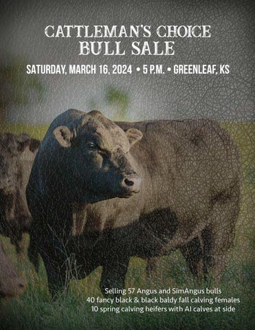 Cattleman's Choice Bull Sale